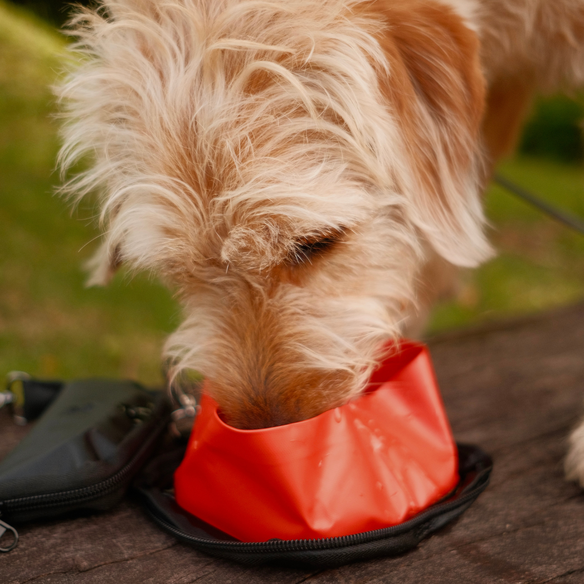 Summit Sip & Drift Bundle