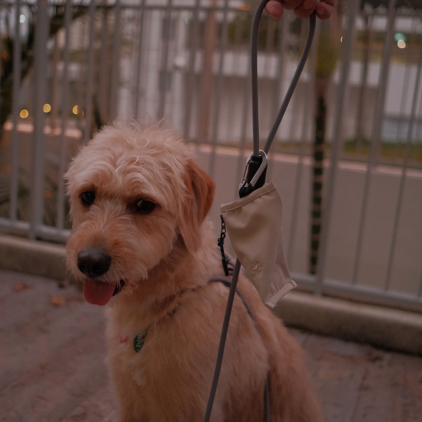 ALTOFF™ Summit Stash