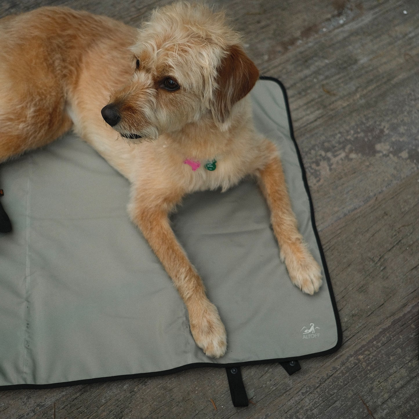 ALTOFF™ Summit Drift