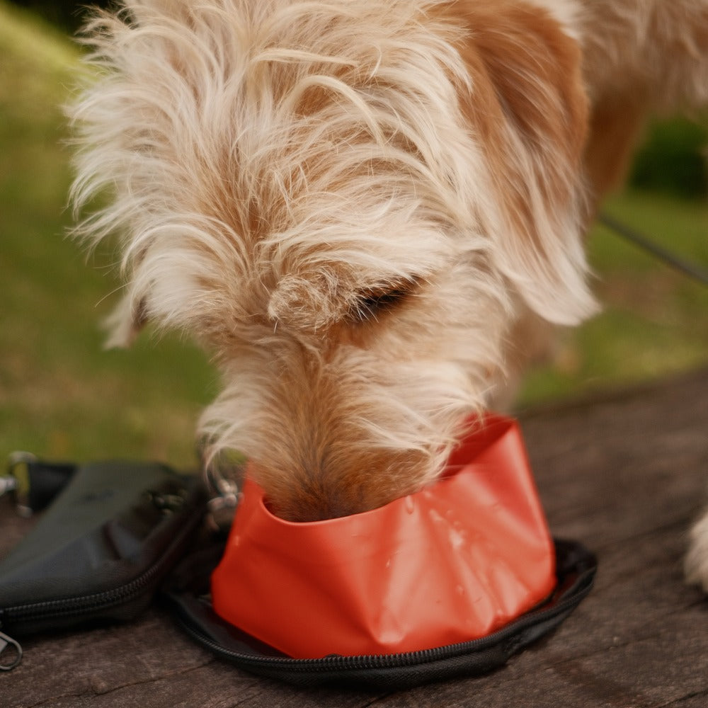 ALTOFF™ Summit Sip