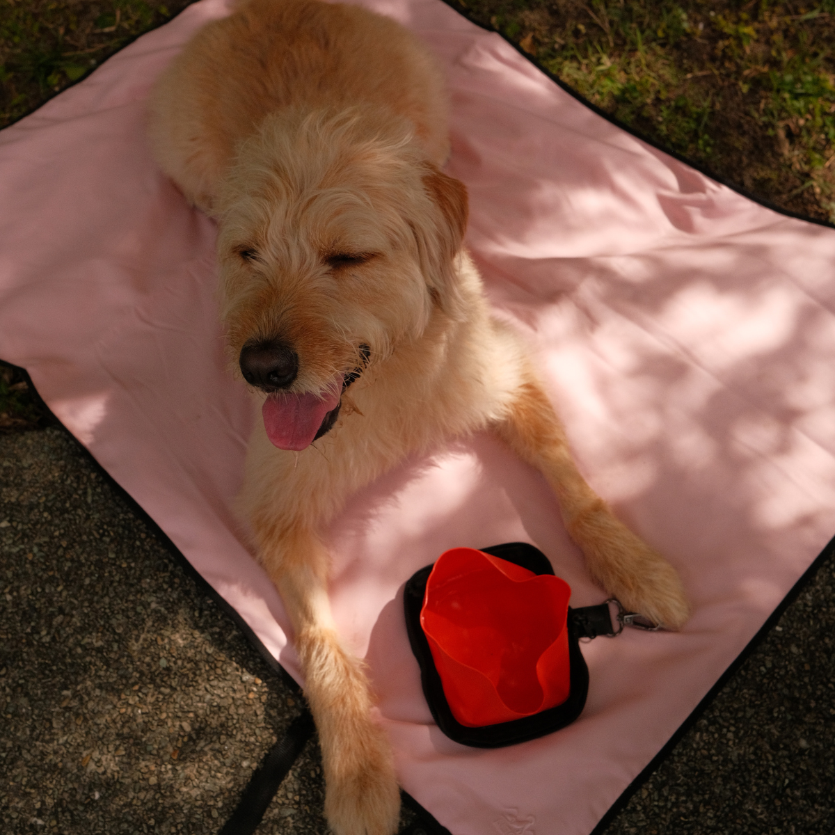 Summit Sip & Drift Bundle