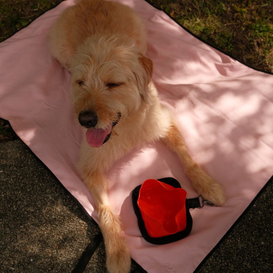 Summit Sip & Drift Bundle