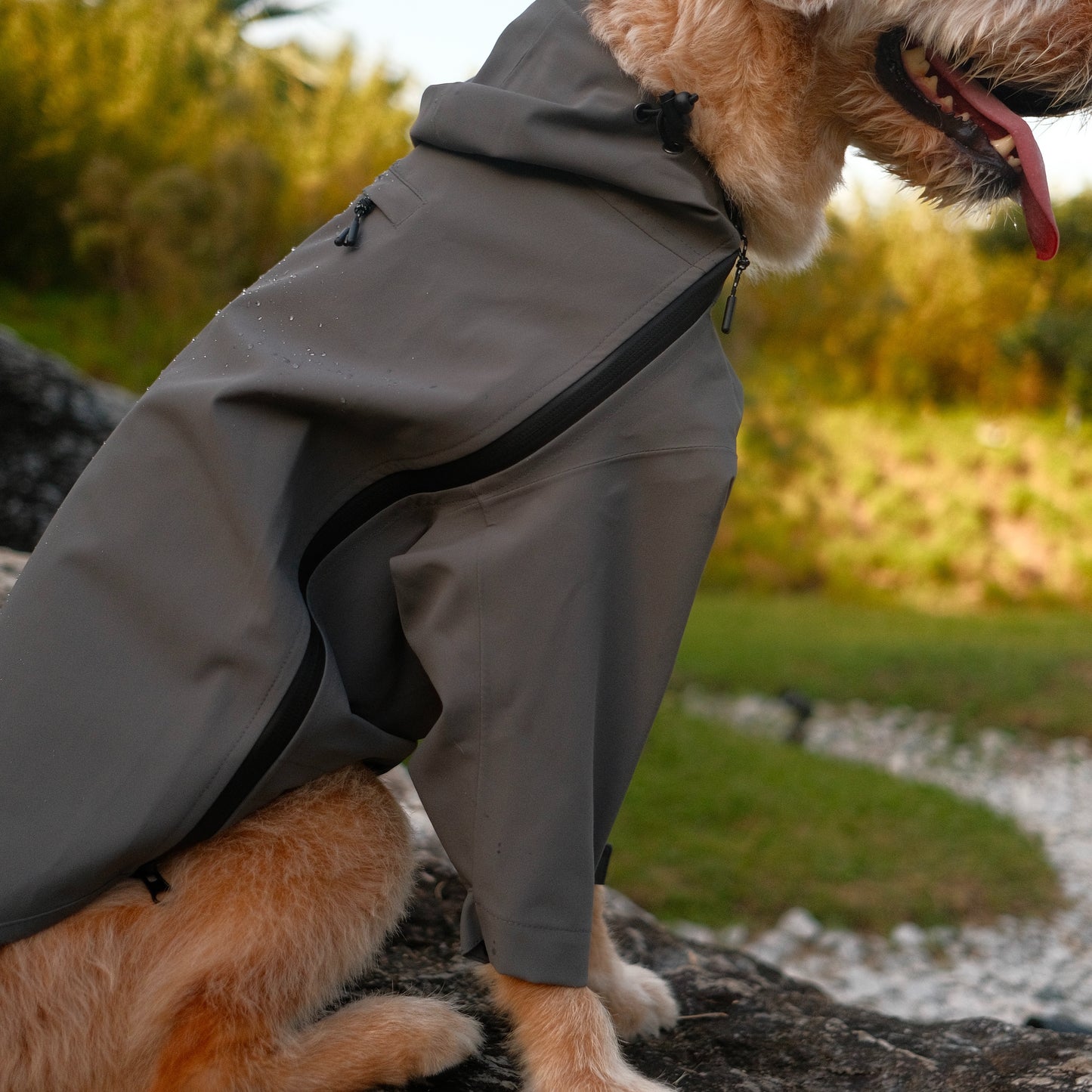 ALTOFF™ Summit Shell