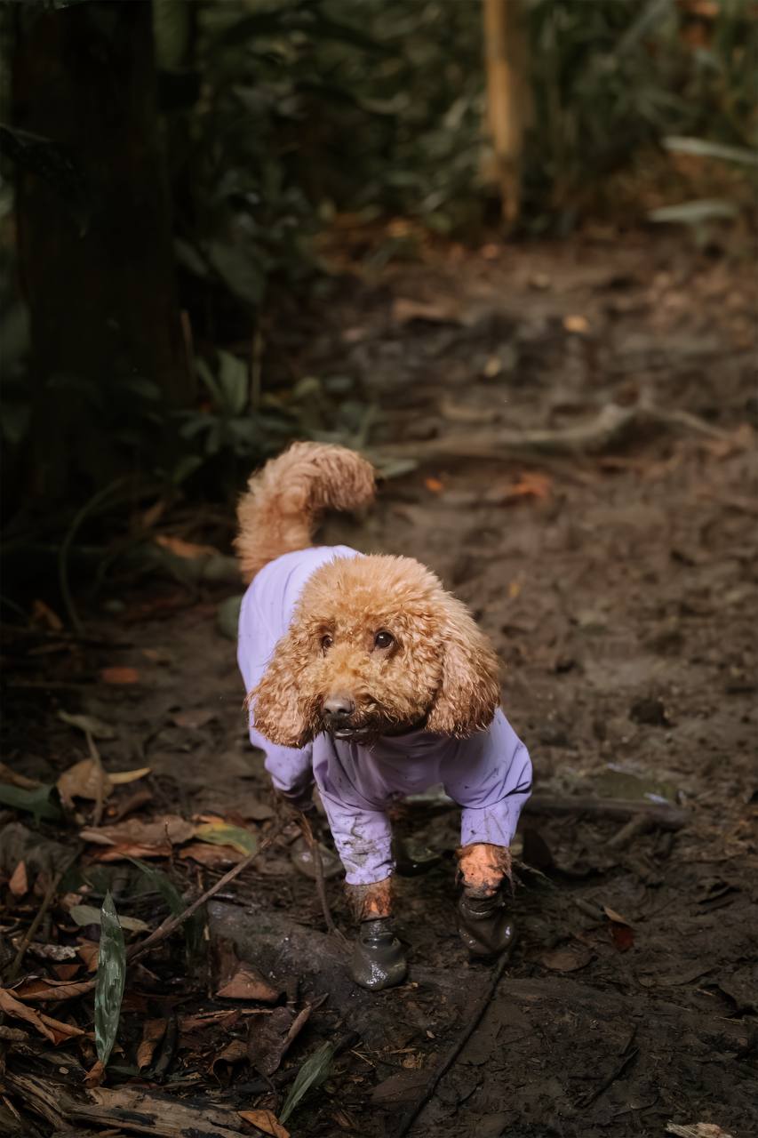 AERO Active Overalls