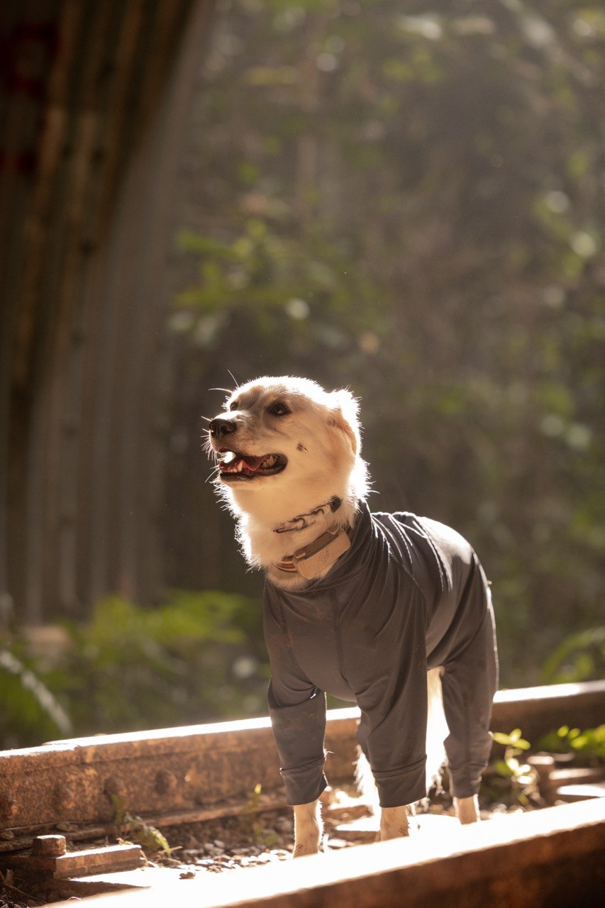 AERO Active Overalls