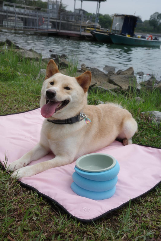 ALTOFF™ x Inu Studios Set C & D