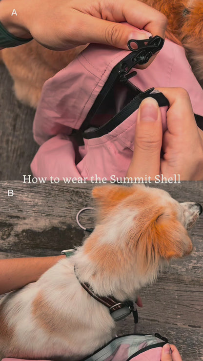 ALTOFF™ Summit Shell — Waterproof Dog Raincoat